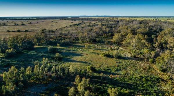 496 Terembone Forest Road
, Coonamble, NSW 2829