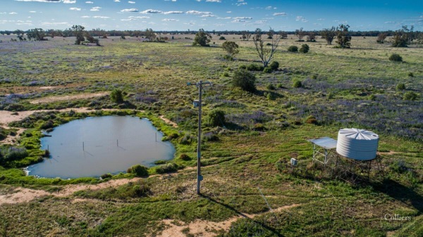 496 Terembone Forest Road
, Coonamble, NSW 2829