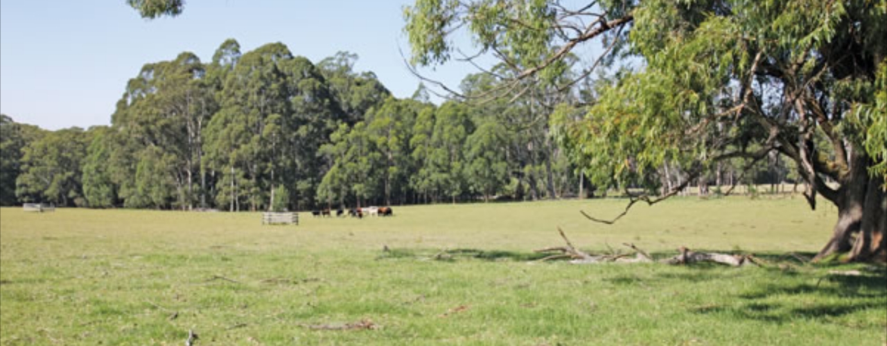 , Wildes Meadow, NSW 2577
