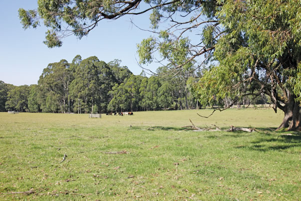 , Wildes Meadow, NSW 2577