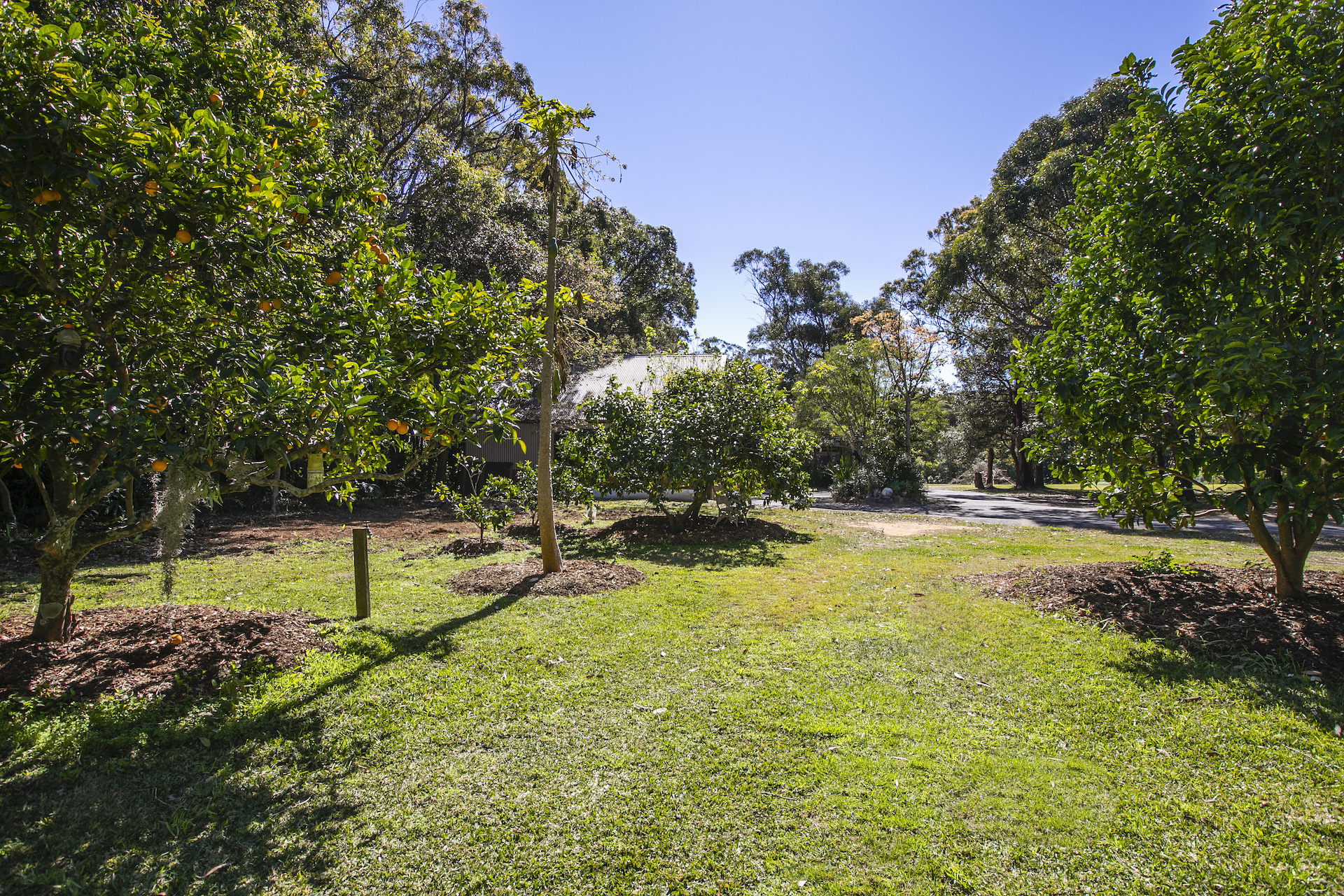 135 The Scenic Road, Killcare Heights, NSW 2257