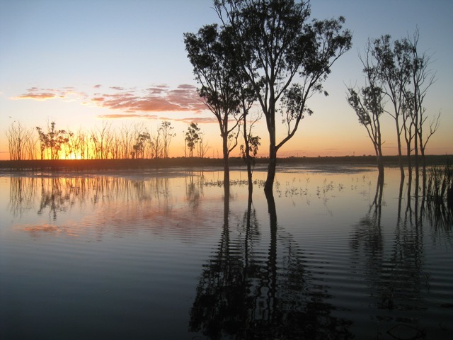 Gwydir River Water, Moree, NSW 2400