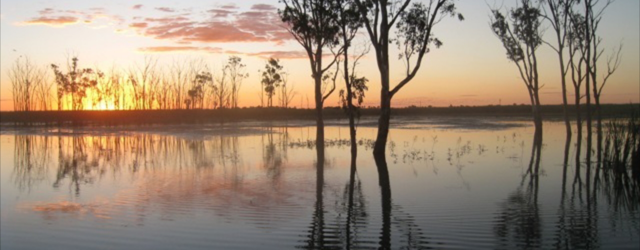Gwydir River Water, Moree, NSW 2400