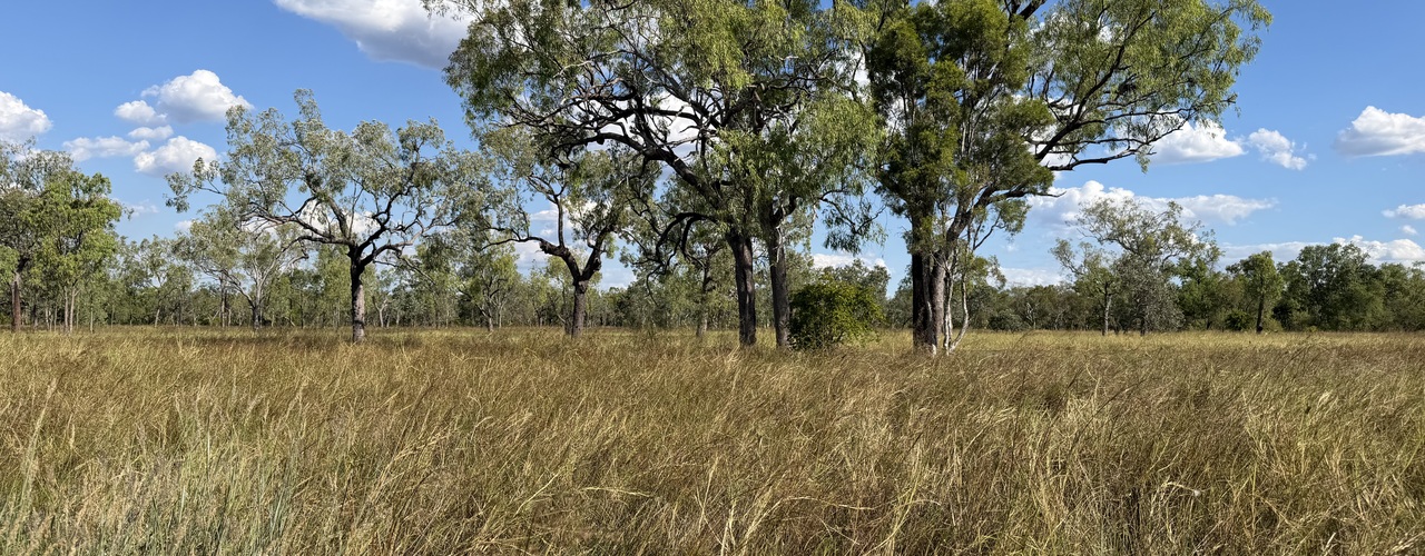 Ellavale Road, Croydon, QLD 4871
