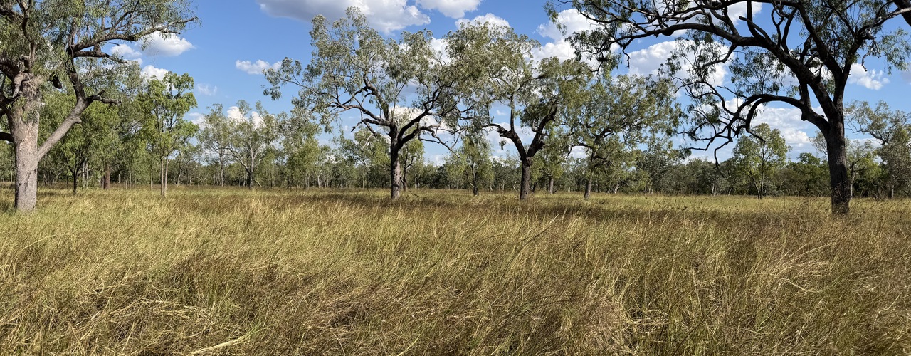 Ellavale Road, Croydon, QLD 4871