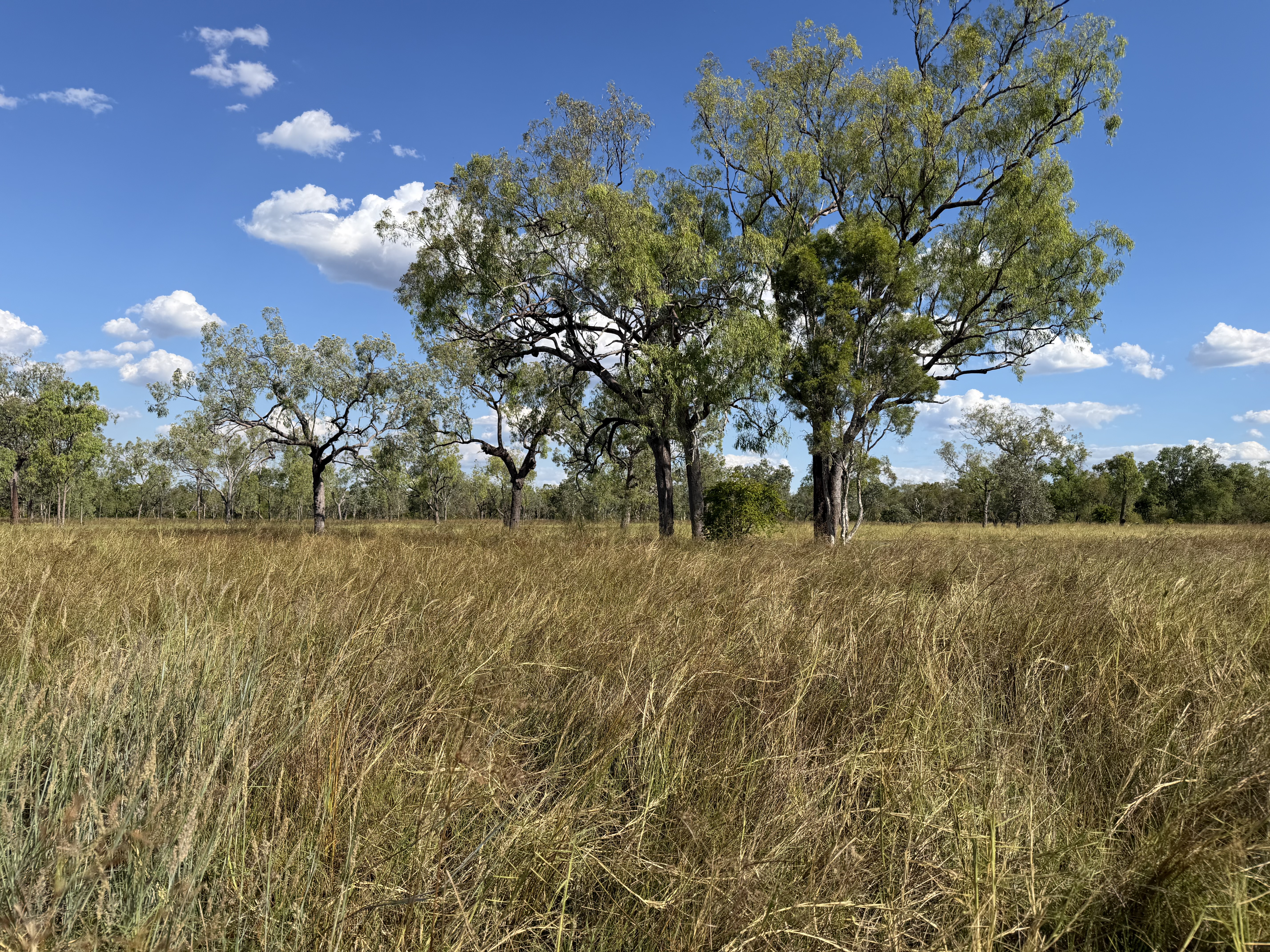 Ellavale Road, Croydon, QLD 4871