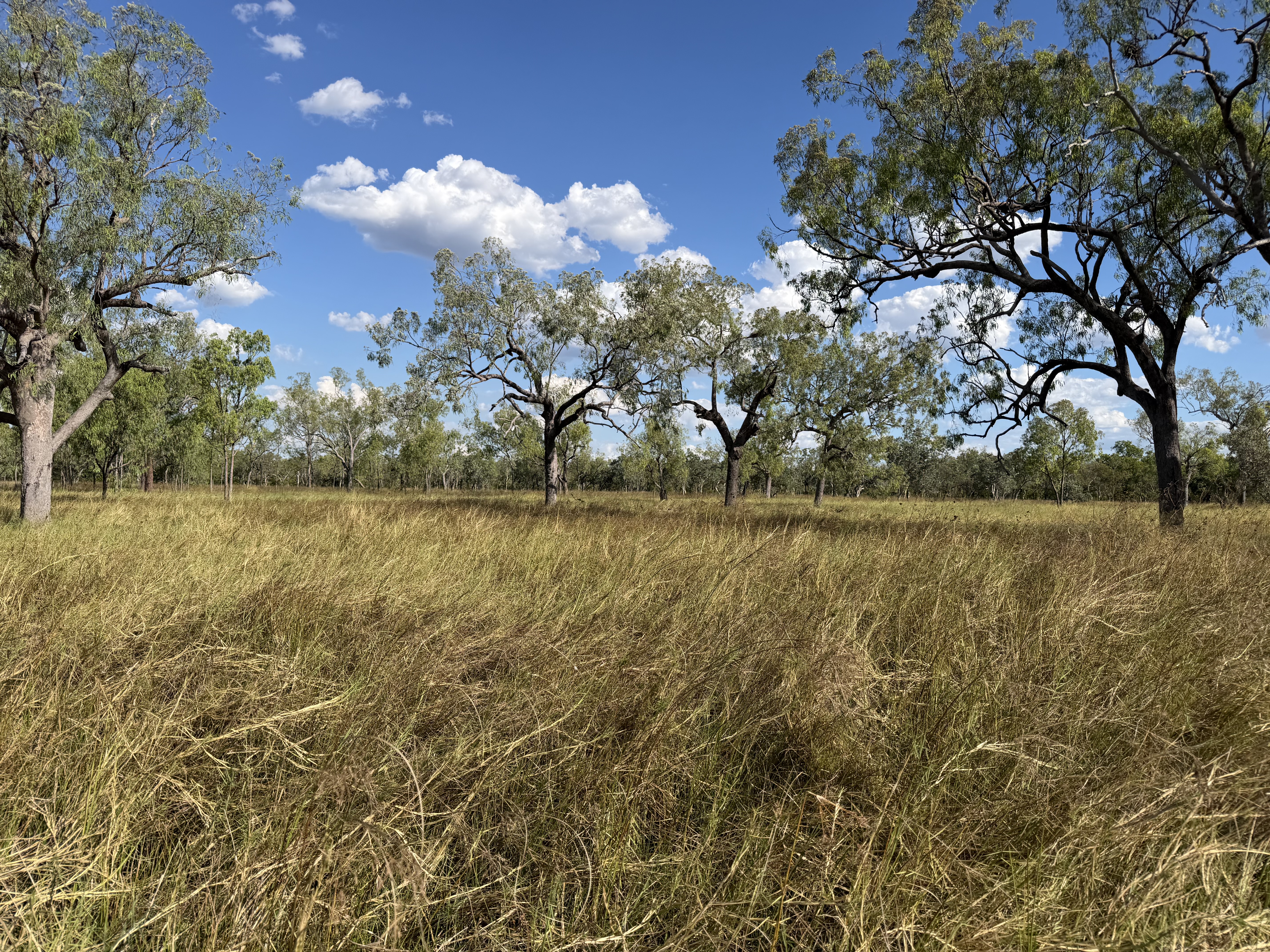 Ellavale Road, Croydon, QLD 4871