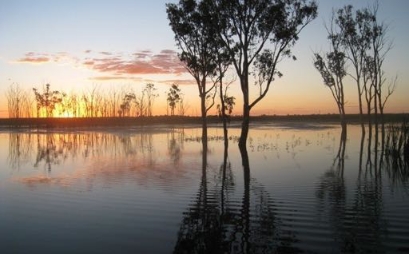 WAL7803 - Lower Gwydir River Water - General Security - 15ML, Moree, NSW 2400