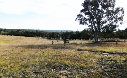 878 Old Hume Highway, Alpine, NSW 2575