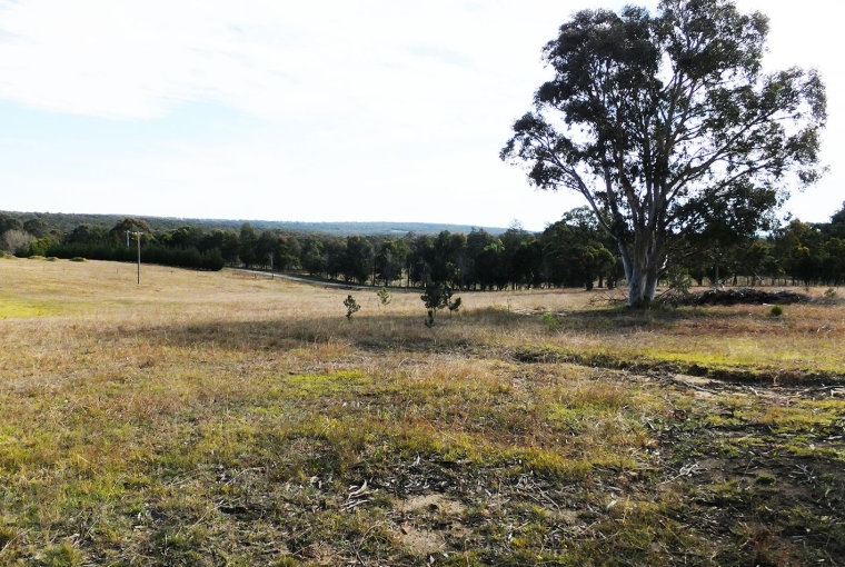 878 Old Hume Highway, Alpine, NSW 2575