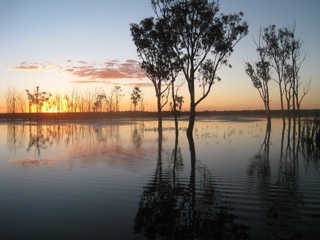 Lower Namoi River Water, Merah North, NSW 2388